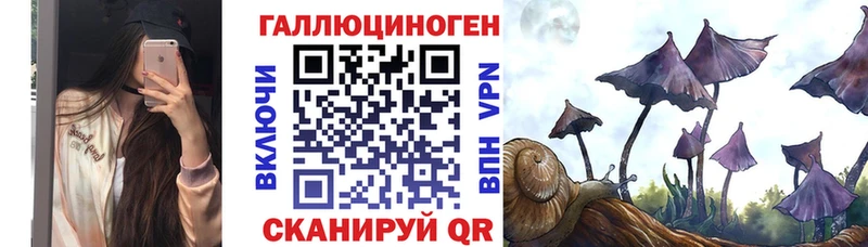 как найти закладки  Костерёво  Псилоцибиновые грибы Psilocybine cubensis 